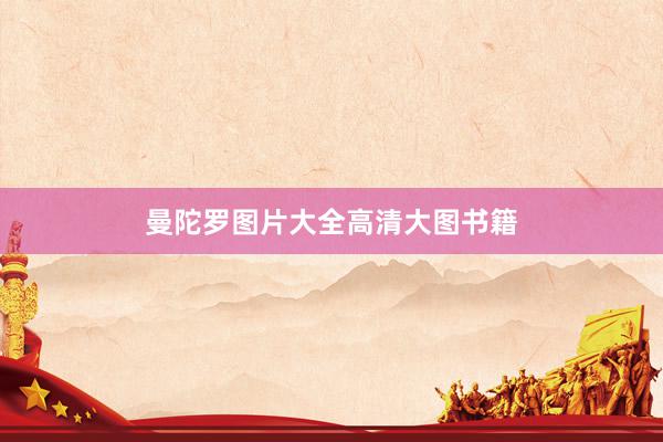 曼陀罗图片大全高清大图书籍